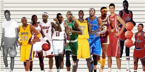 basketball reference player comparison
